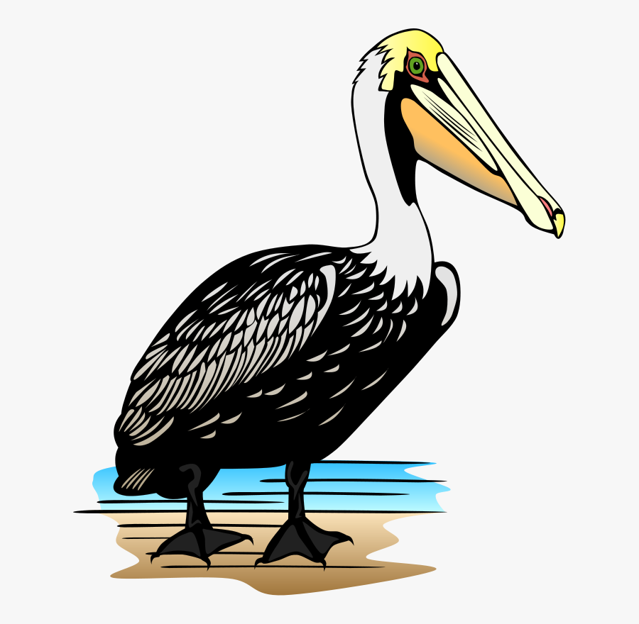 Aussie Clip Art Download - Pelican Clipart, Transparent Clipart