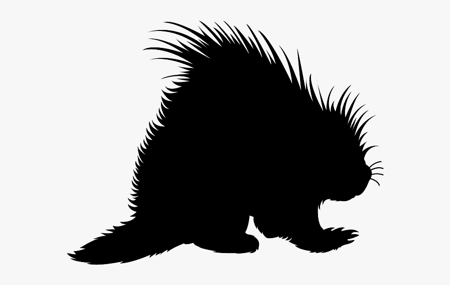 Porcupine Silhouette, Transparent Clipart