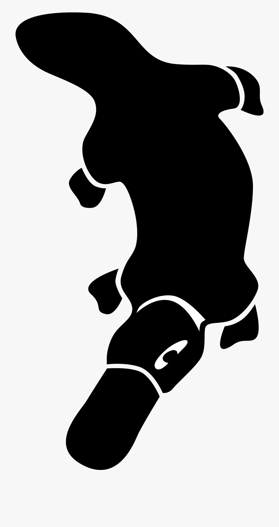 Transparent Platypus Png - Platypus Affiliated Society, Transparent Clipart