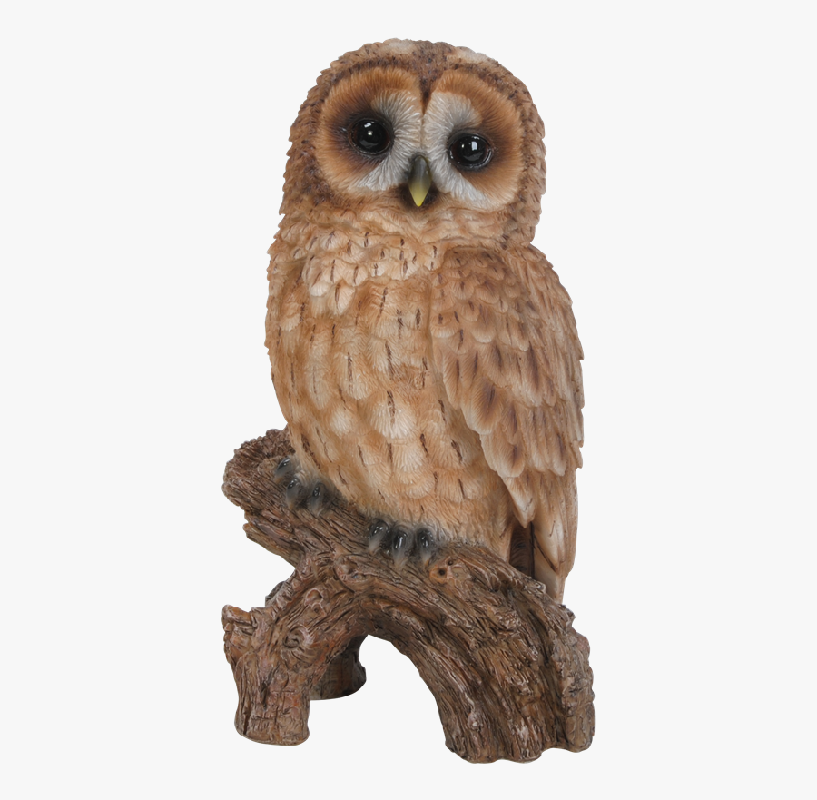 Clipart Free Stock Little Resin Garden Ornament Less - Real Owl Woodland Animals, Transparent Clipart