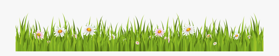 Grass Transparent F Churl - Green Grass Background Png, Transparent Clipart