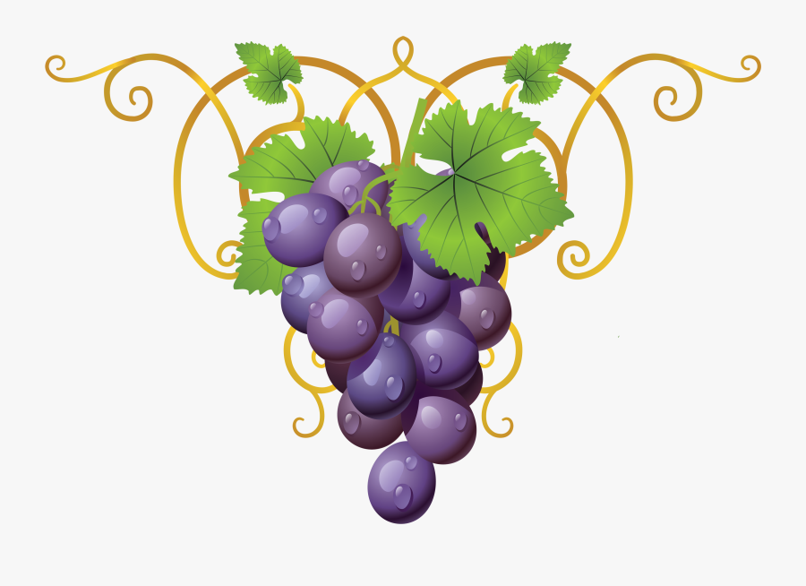 Grapevine Clipart Decoration - Wine Glass Grapes Icon, Transparent Clipart