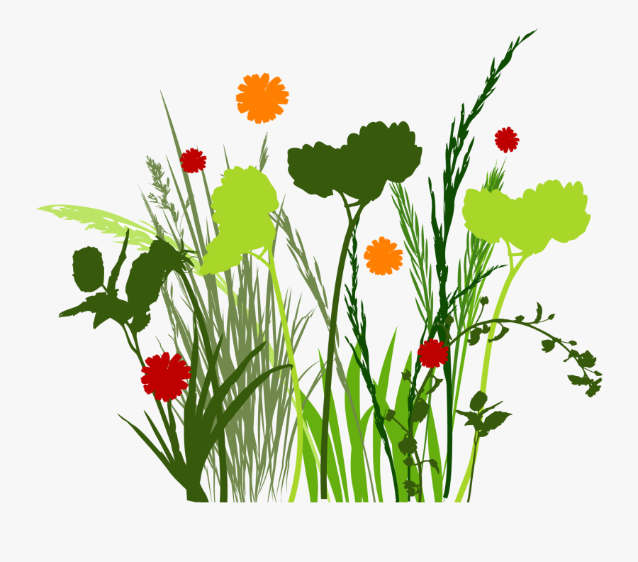 Spring Meadow High Res Photoshop Brushes Freebie - Clip Art, Transparent Clipart
