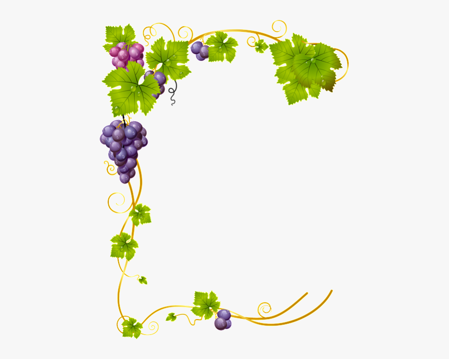 Transparent Grape Vines Png - Grapes Vector, Transparent Clipart