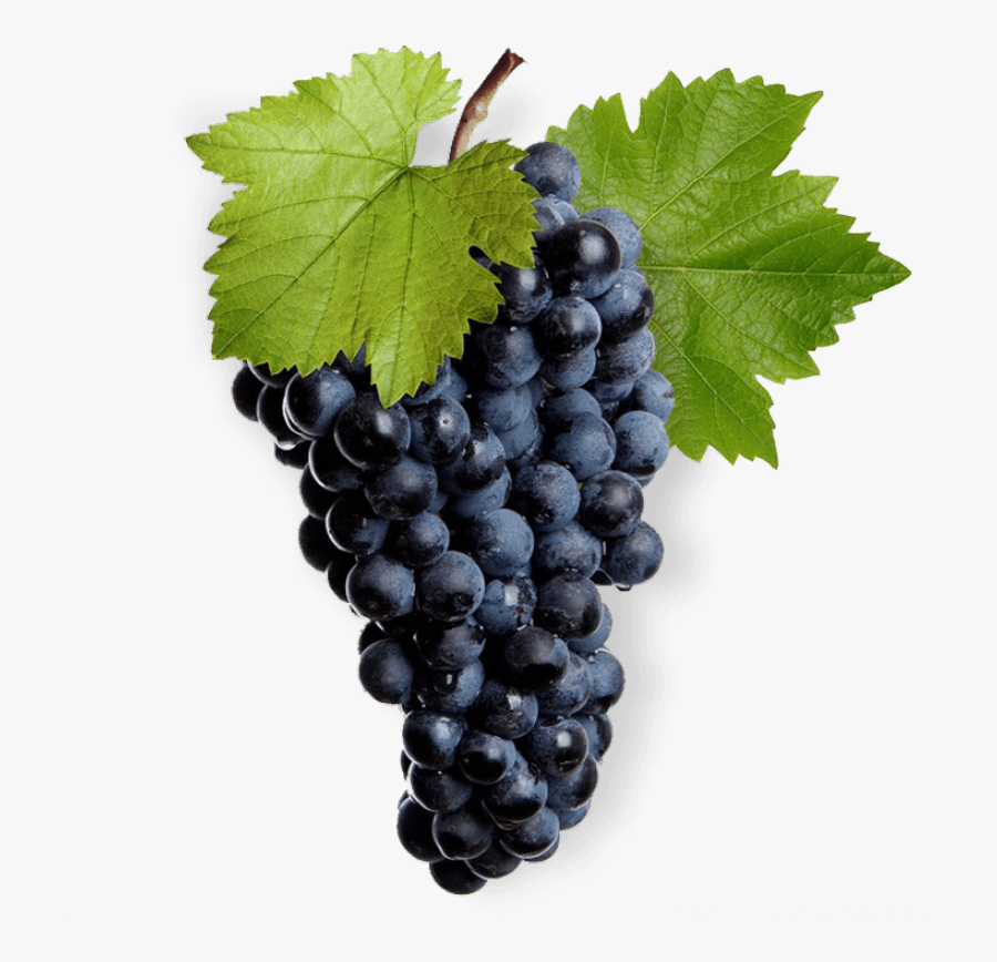 Black Grapes For Face, Transparent Clipart