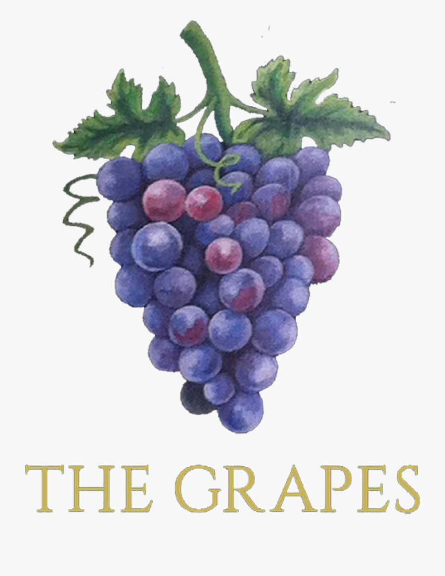 Clip Art Grape Images - Seedless Fruit, Transparent Clipart