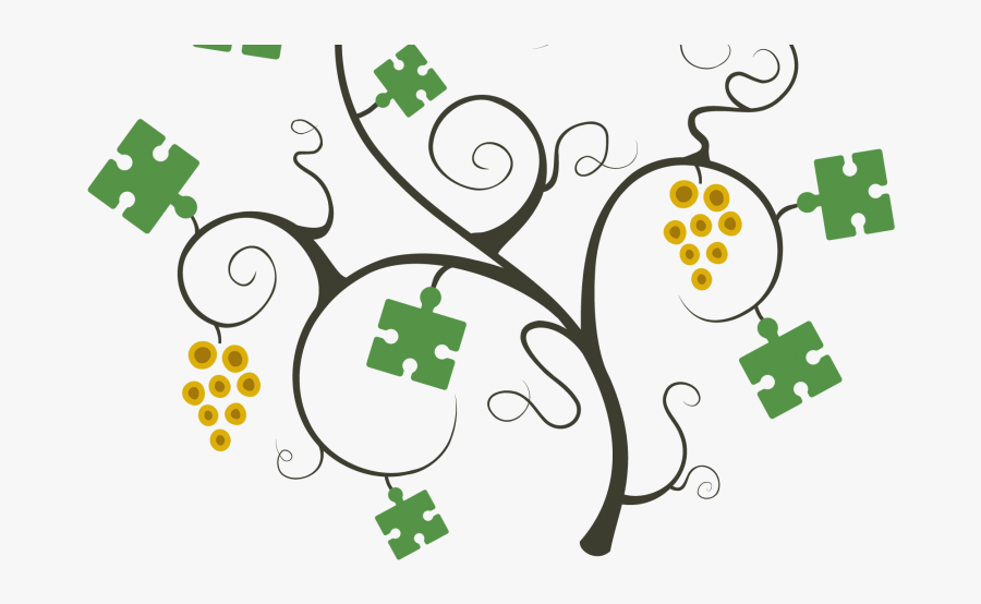 Grape Vine Design, Transparent Clipart
