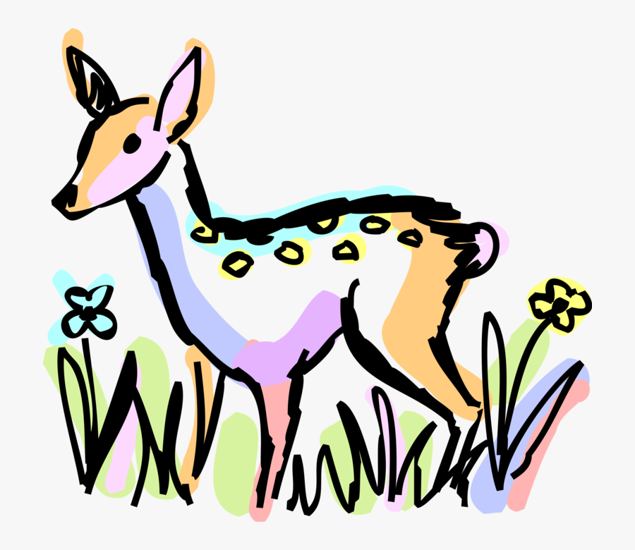 Vector Illustration Of White Tailed Or Whitetail Deer, Transparent Clipart