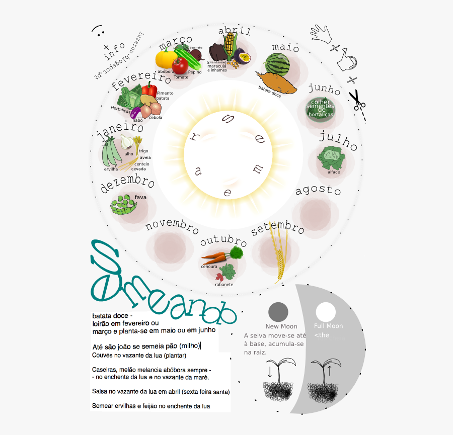 Bananau Mega Remix Circular Agricultural Calendar Azores - Cyclic Agriculture, Transparent Clipart