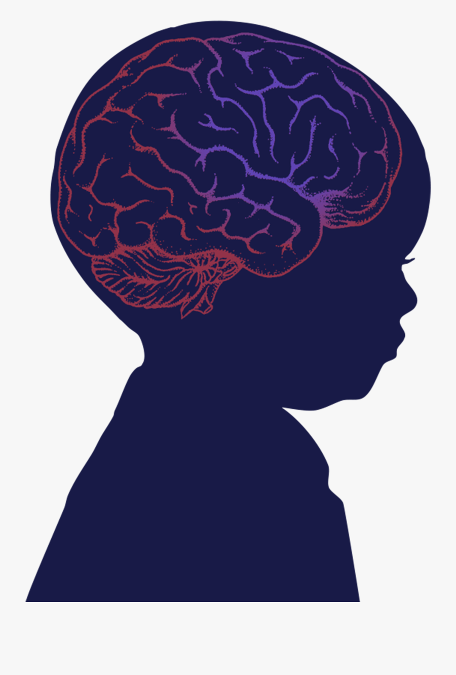 Brain Clipart Baby - Baby With Brain Clipart, Transparent Clipart