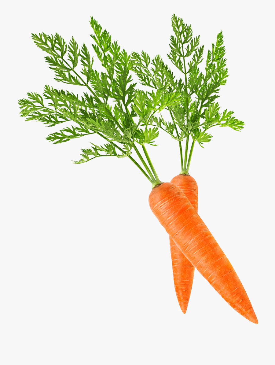 Baby Carrot Clip Art - Carrot Pictures With Leaves, Transparent Clipart