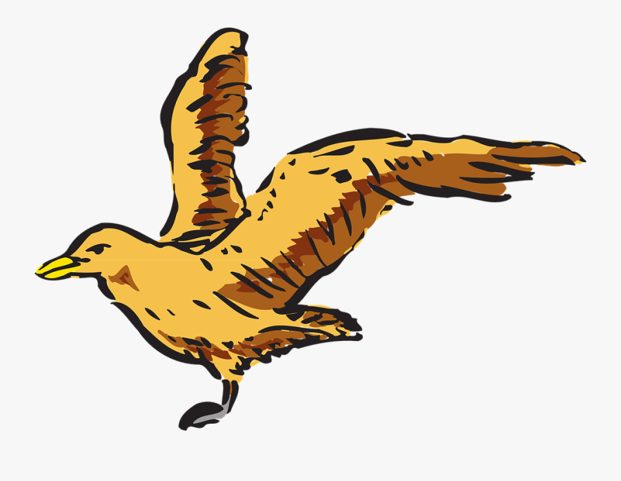 Albatross Clipart At Getdrawings - Bird Side View Clipart, Transparent Clipart