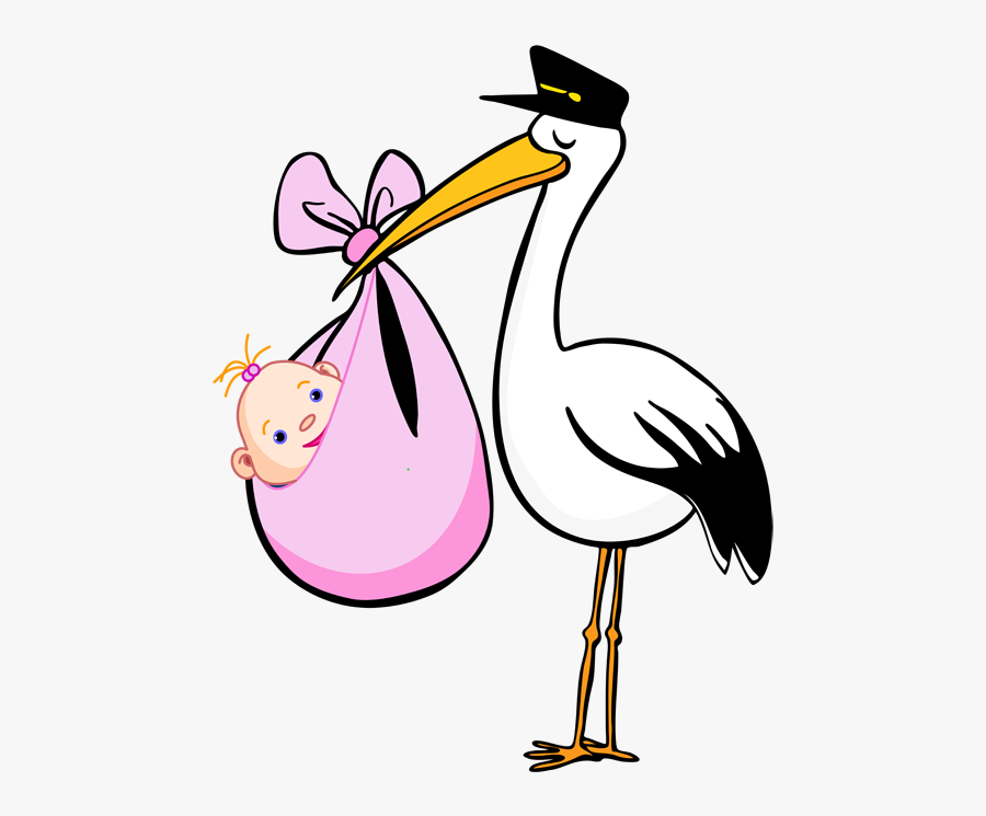 Stork Pics - Stork Baby Clipart, Transparent Clipart