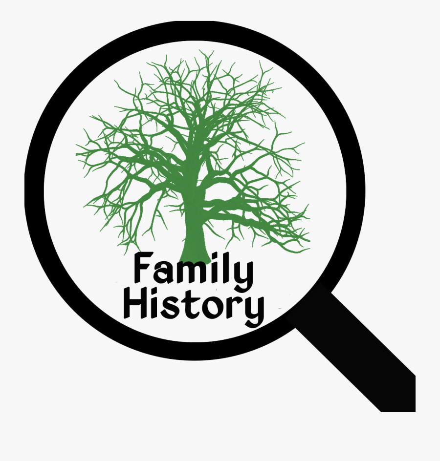 Transparent Old Tree Silhouette, Transparent Clipart