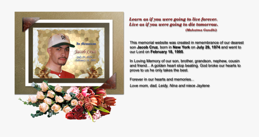 Garden Roses, Transparent Clipart