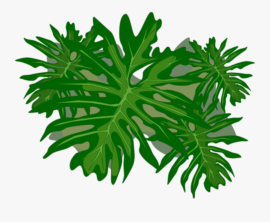 Plant Stem,tree,plant - Philodendron Png, Transparent Clipart