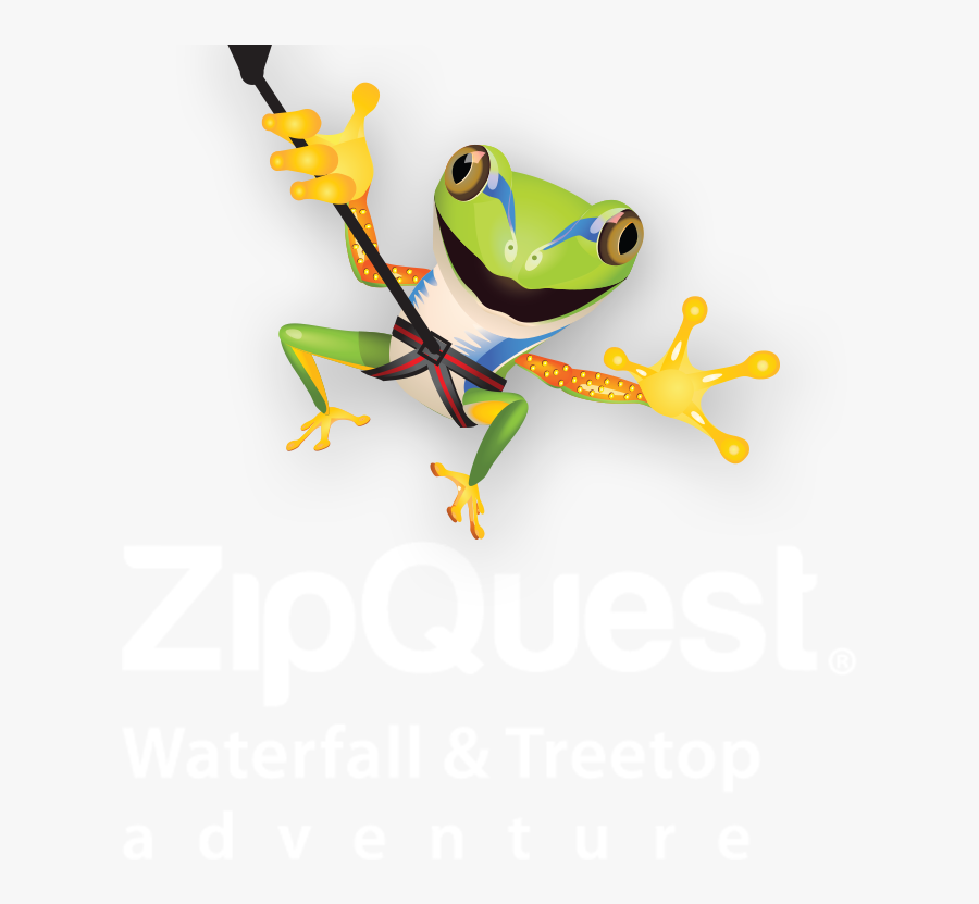 Zip Quest Frog, Transparent Clipart