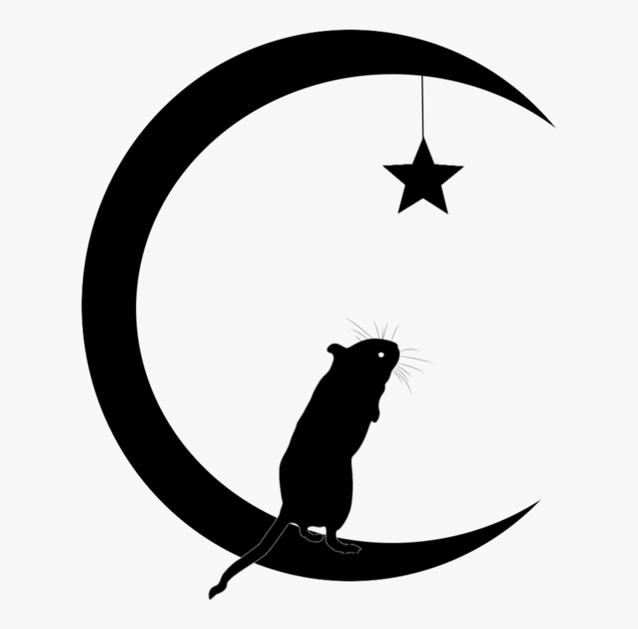 Silhouette Star - - Silhouette Sun Moon Star, Transparent Clipart