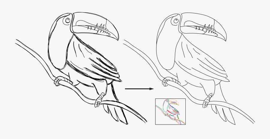 Strokeaggregator Consolidating Raw Sketches Into Artist - Sketch, Transparent Clipart