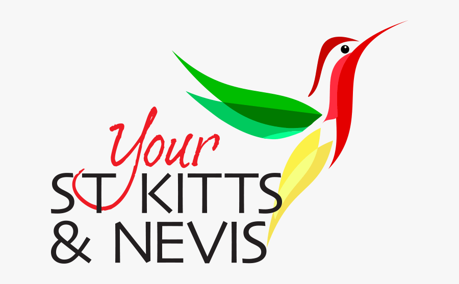Your St Kitts & Nevis - Piciformes, Transparent Clipart