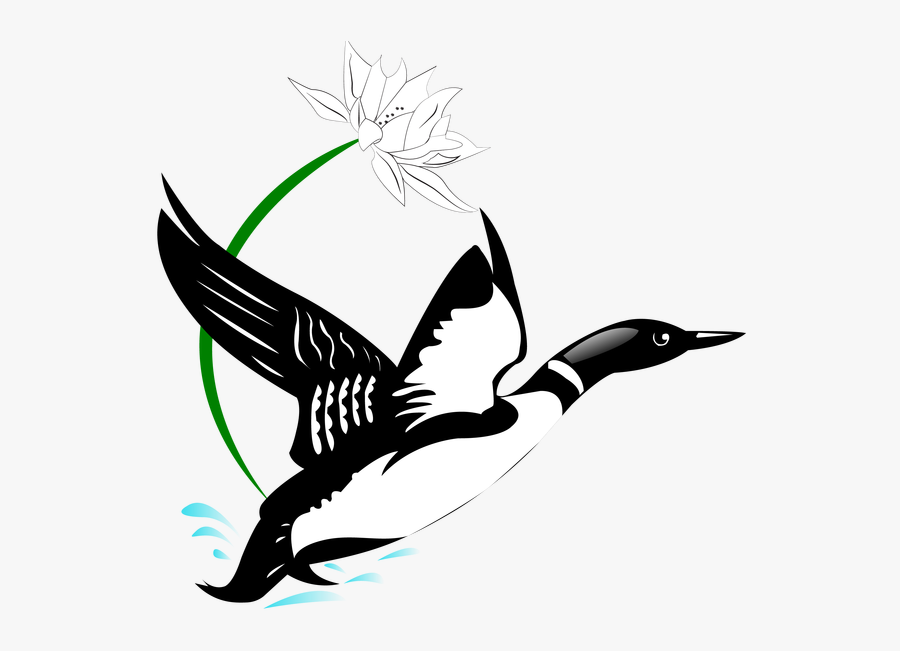 Loon Clipart, Transparent Clipart