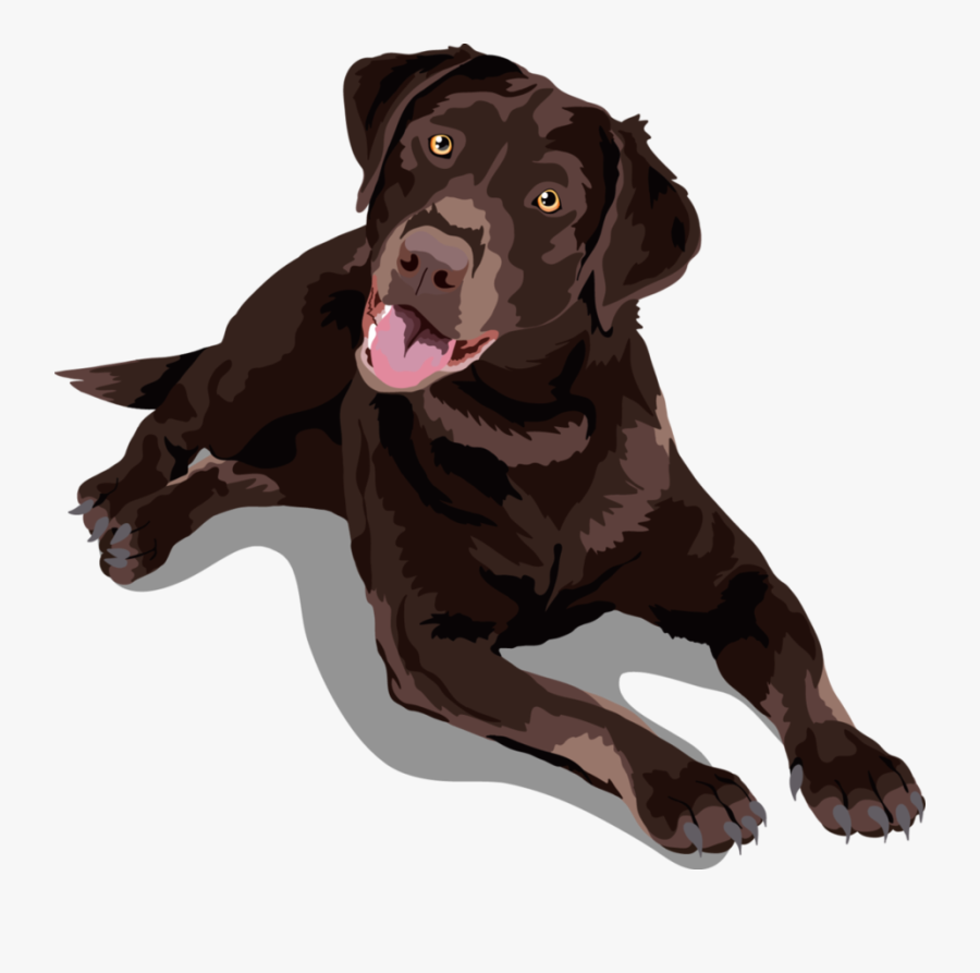 Clip Art Chocolate Labs Pictures - Brown Labrador Vector, Transparent Clipart