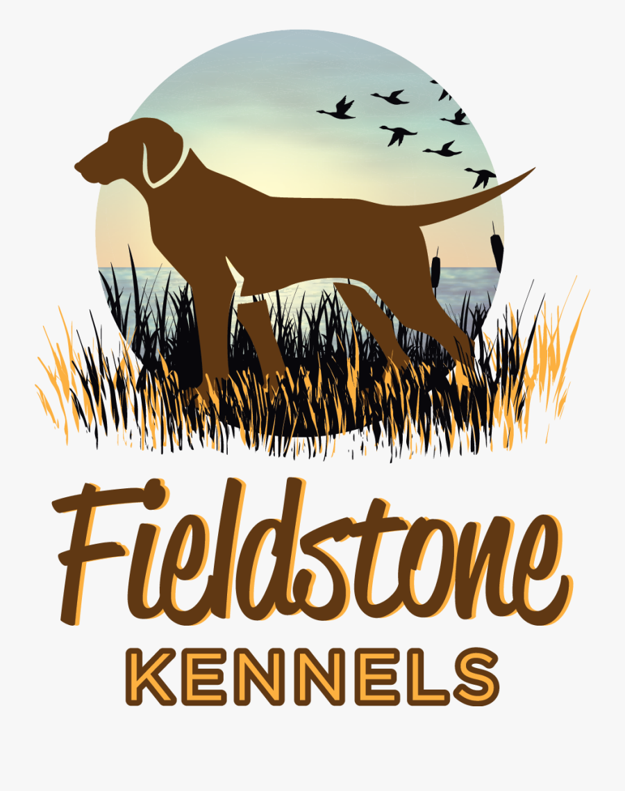 Labrador Retriever Puppies For Sale - Chocolate Lab Logo, Transparent Clipart