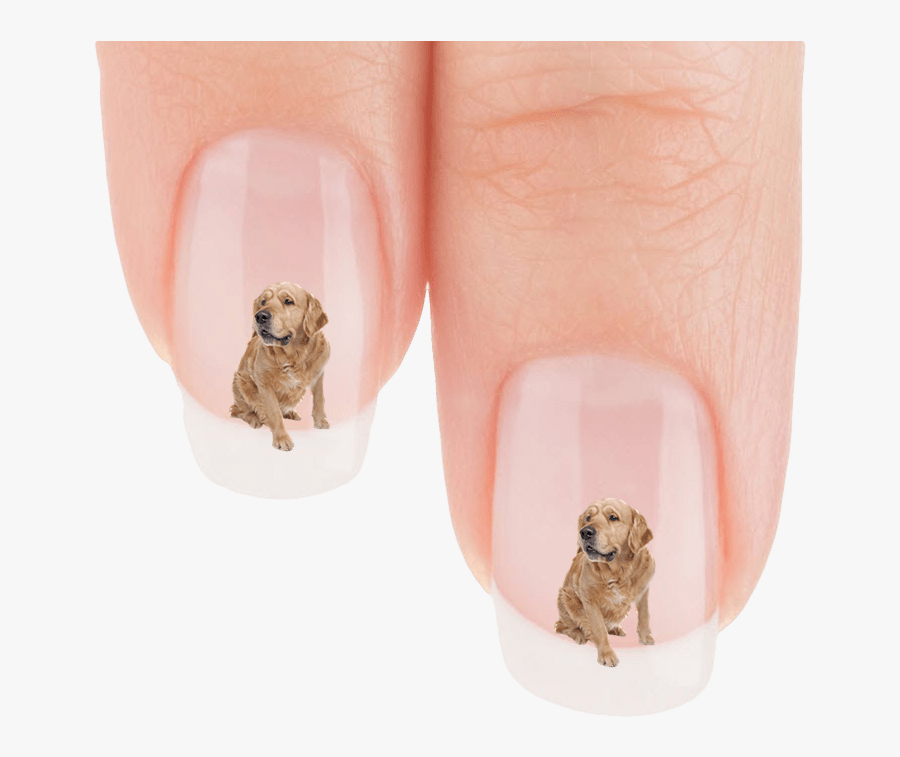 Golden Retriever Who Is That Nail Art Decals Patch - Labrador Retriever, Transparent Clipart