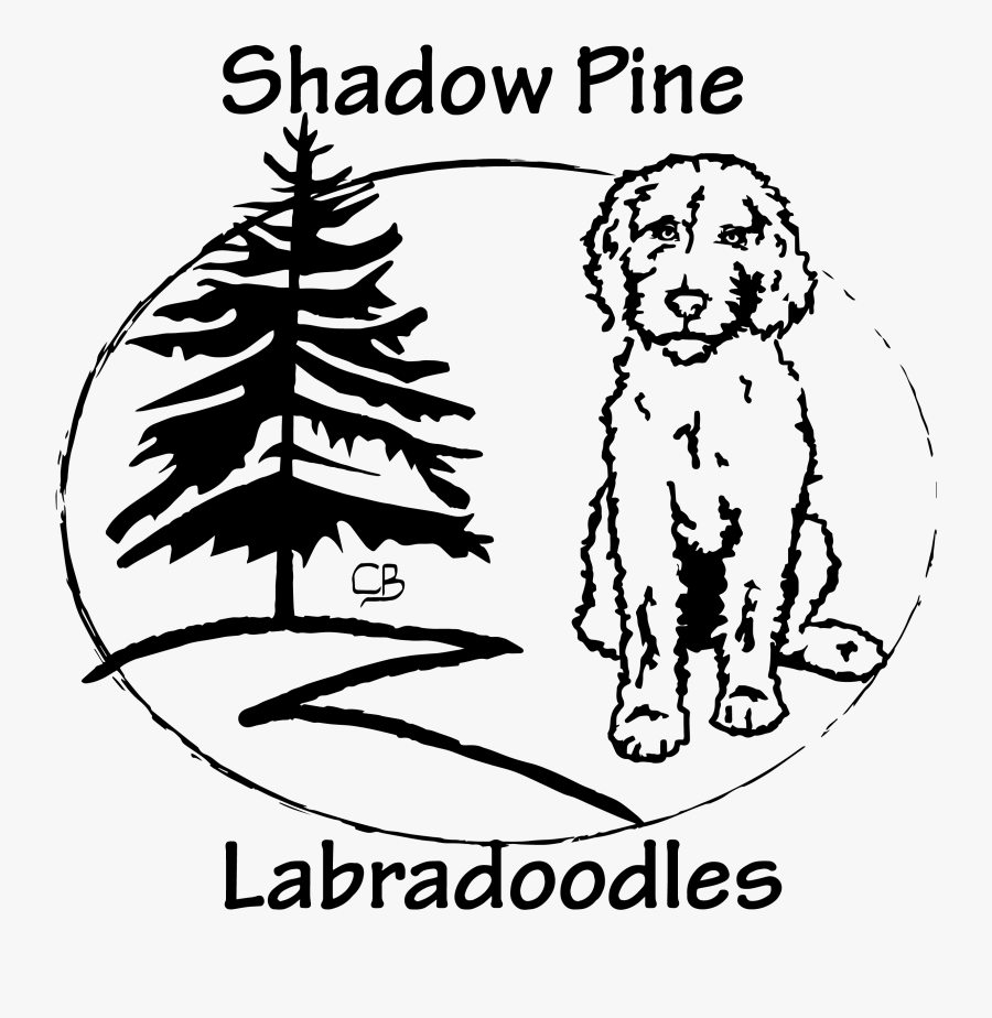 Curvy And Clean - Illustration, Transparent Clipart