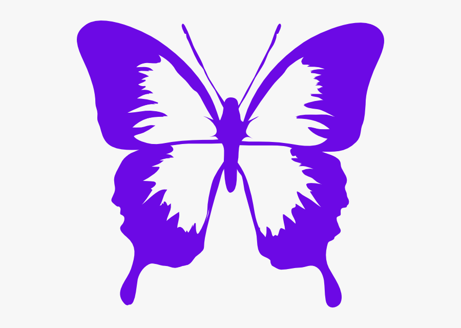 Purple And Teal Butterfly, Transparent Clipart