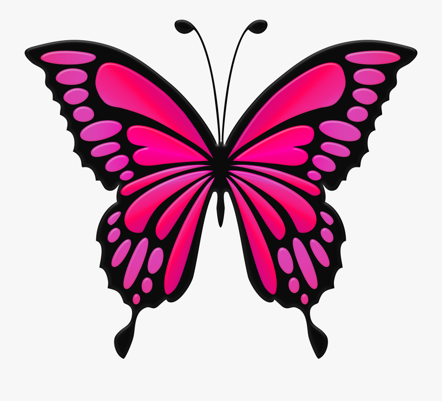 Butterfly Cliparts Transparent Pink - Blue Butterfly Clipart, Transparent Clipart