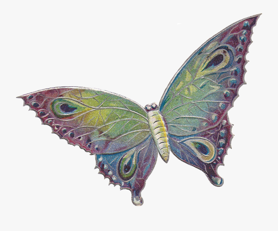 Wedding Card Butterfly Clip Art, Transparent Clipart