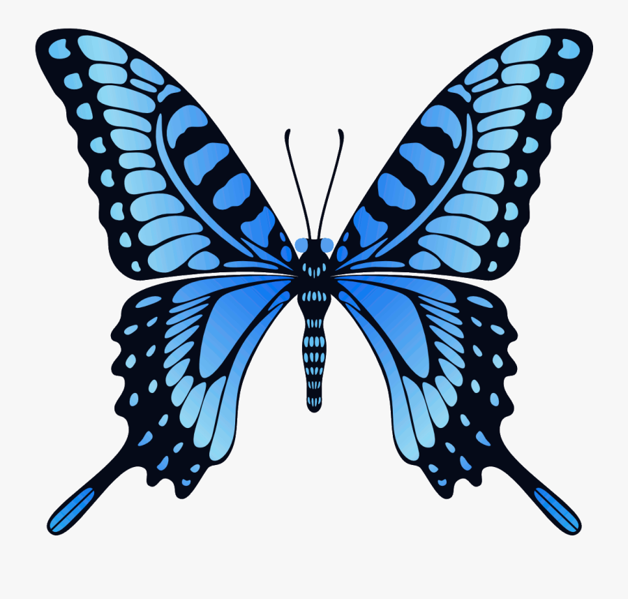 Blue Butterfly Png Image - Gif Animation Butterfly Flying, Transparent Clipart