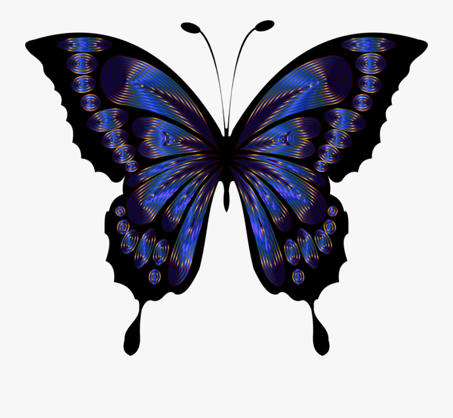 Butterfly Blue Insect Drawing Purple Cc0 - Blue Butterfly Clipart, Transparent Clipart