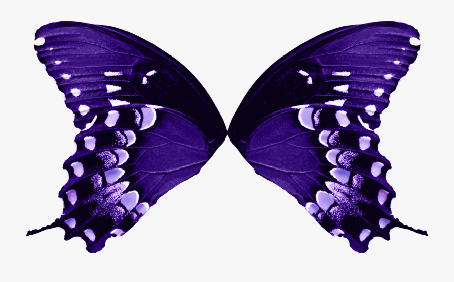 Transparent Purple Butterflies Clipart - Butterfly Wings Transparent Background, Transparent Clipart