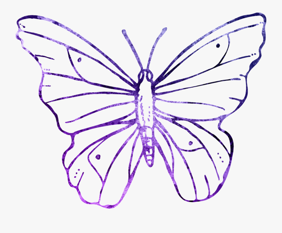 Transparent Purple Butterflies Clipart - Butterfly Flower No Background, Transparent Clipart