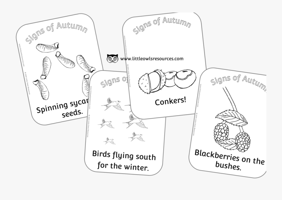 ‘signs Of Autumn’ Colouring, Transparent Clipart