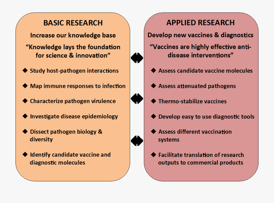 Basic research. Applied research. Basic and applied research просто. Research is.