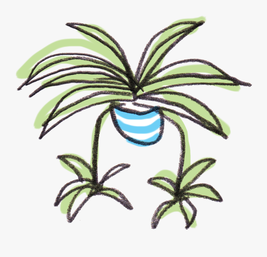 Welcome To Spiderplant, Houseplant Shop - Spider Plant Cartoon, Transparent Clipart