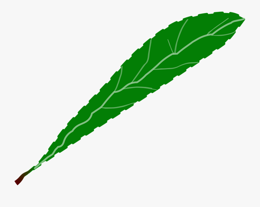 Plant,leaf,green - Petalos Verde Png, Transparent Clipart