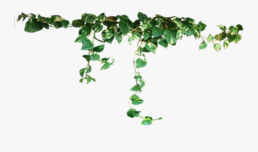Plant Vine Clip Art Vaporwave Plants Png Free Transparent Clipart