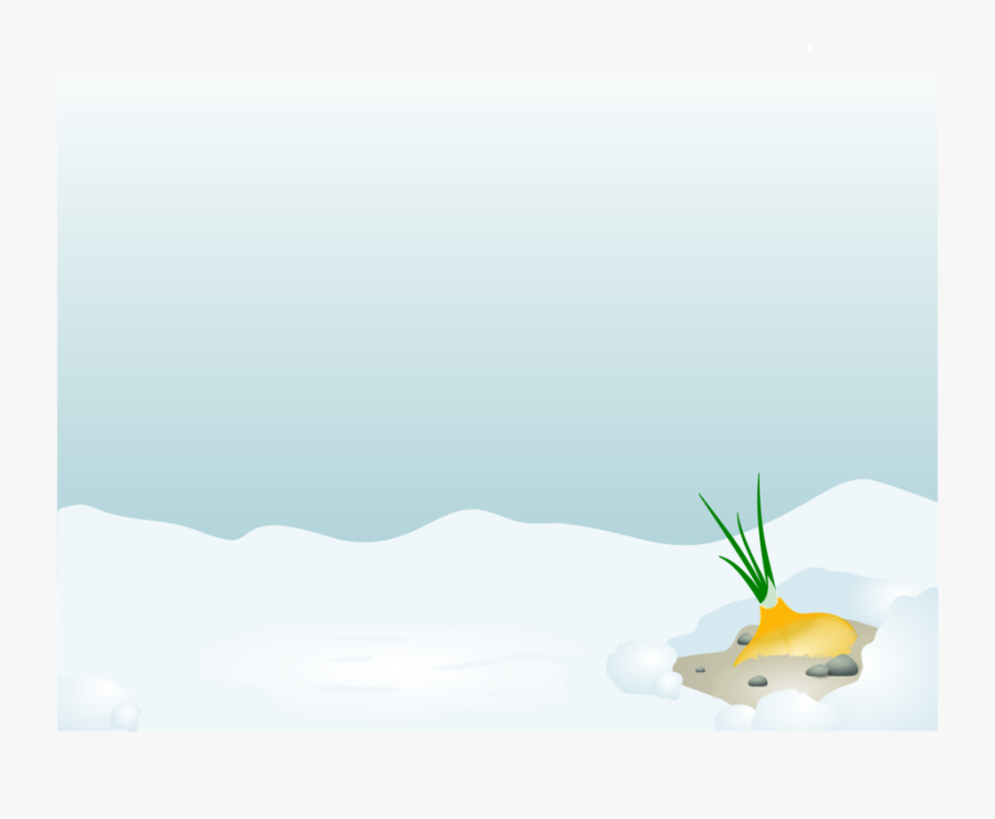 Plant,leaf,tree - Illustration, Transparent Clipart