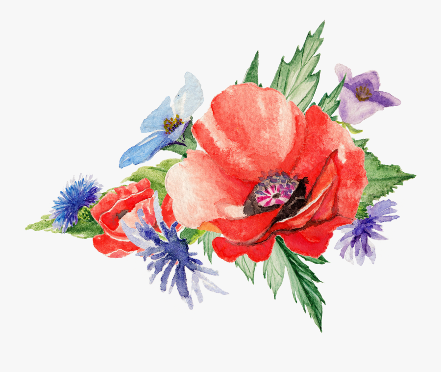 Transparent Free Watercolor Flower Clipart - Poppy Png Water Color, Transparent Clipart