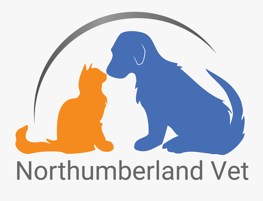 Dentistry Northumberland Veterinary Services - Illustration, Transparent Clipart