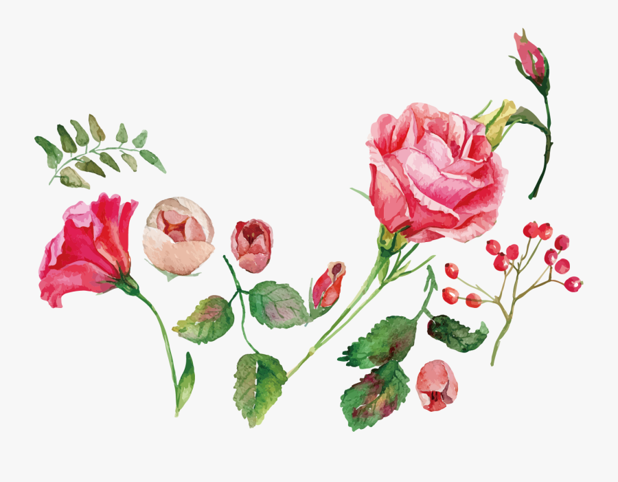 Watercolor Painting Flower Rose Royalty-free - Flower Rose Vector Free Download, Transparent Clipart