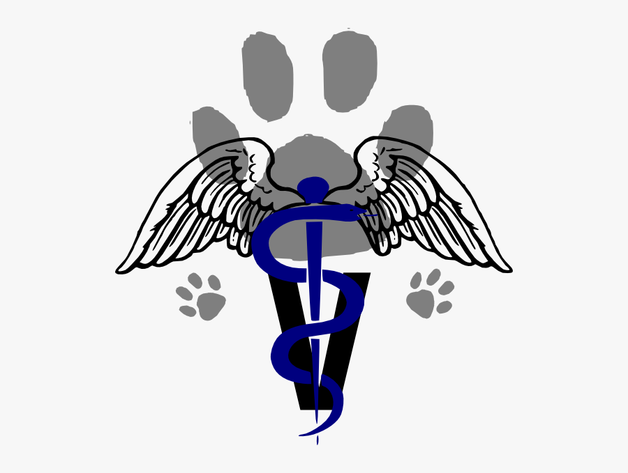 Angel Wings Clipart Black And White, Transparent Clipart