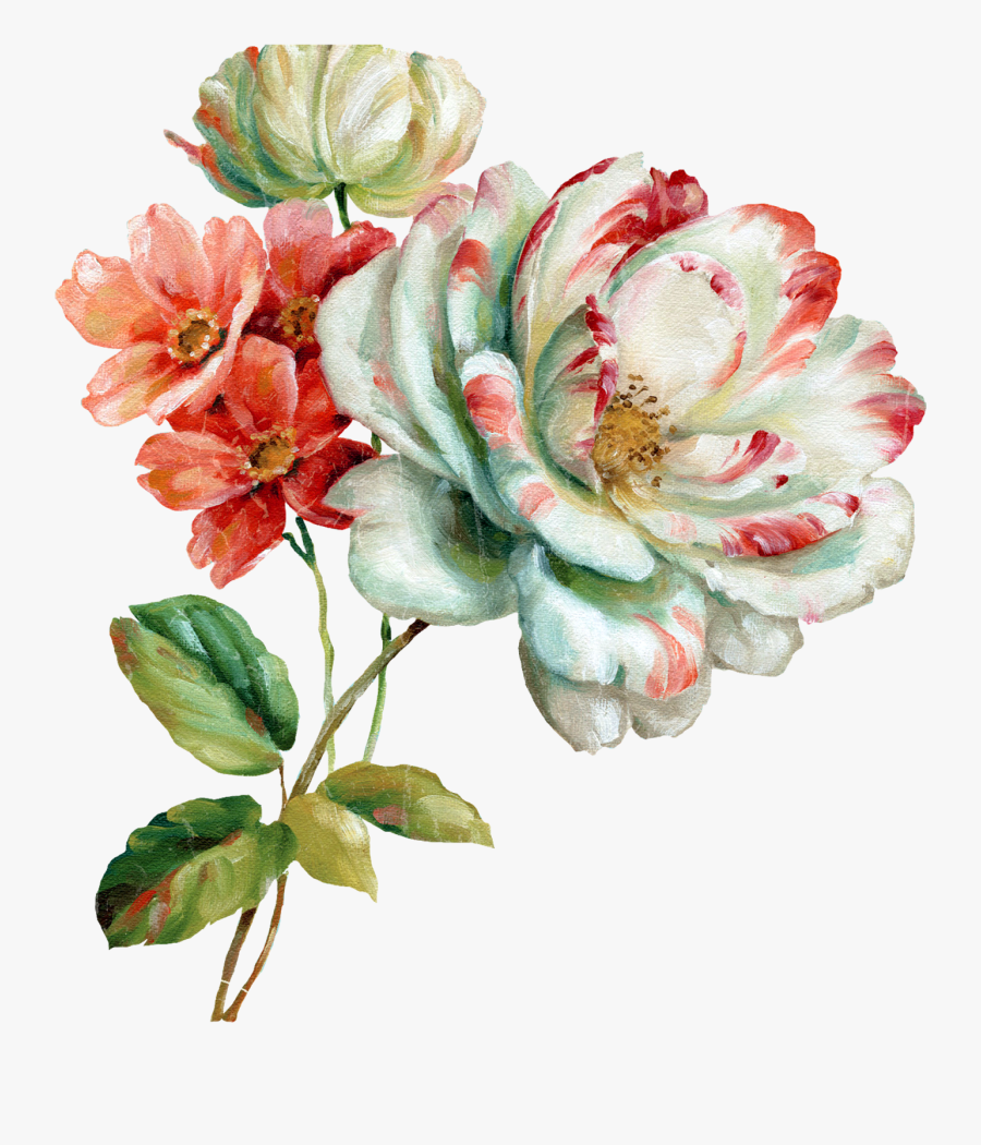 Peony Clipart Botanical Illustration - Flower Water Paint Png, Transparent Clipart