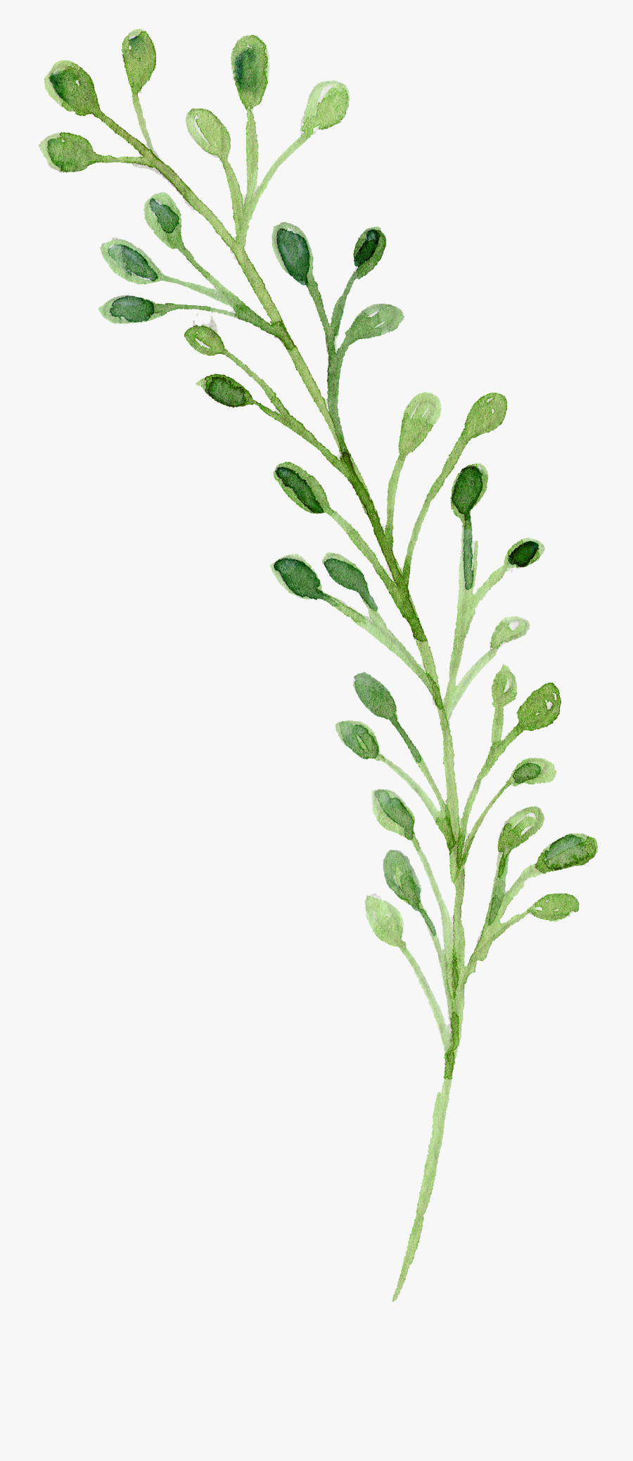 Watercolor Green Flowers Painting Download Free Image - Green Watercolor Flower Png, Transparent Clipart