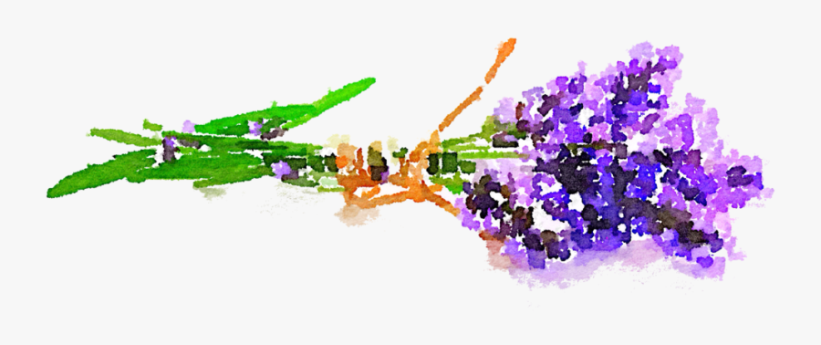 Free Png Kavender Flowers - Lavender Watercolor Flowers Transparent, Transparent Clipart