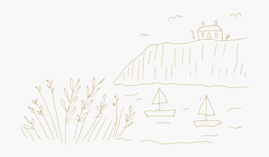 Sketch, Transparent Clipart